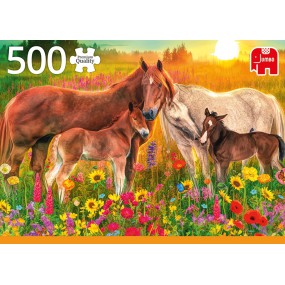 Horses in the meadow (500stukjes)