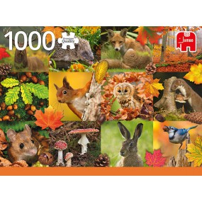 Autumn animals (1000stukjes)