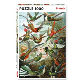 Hummingbirds - Ernst Haeckel , Piatnik 1000stukjes