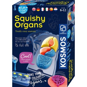 KOSMOS, Squichy Organs - Fun Science