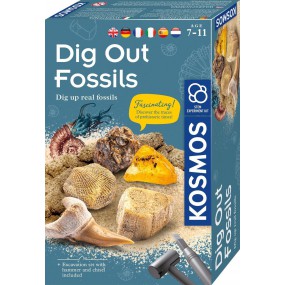 KOSMOS, Dig out Fossils