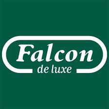 Falcon logo.jpg